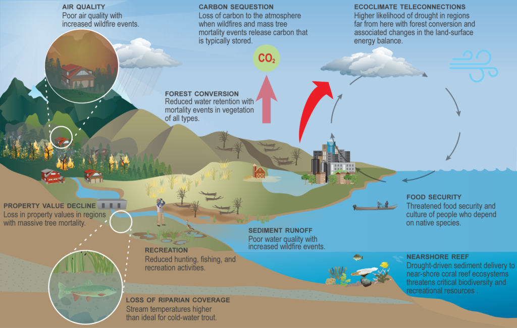 A new paper by Shelley Crausbay and colleagues describes how ecological ...