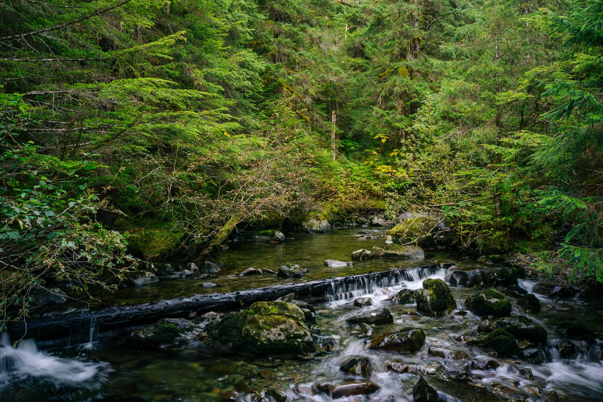 AdobeStock_392569447